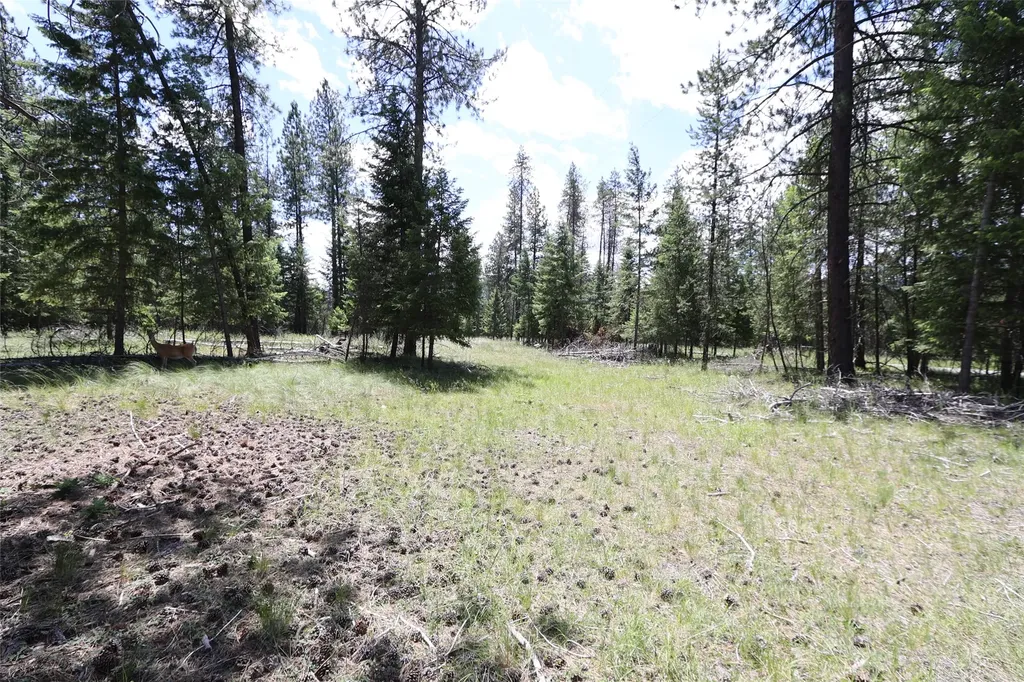 Nhn Lot 6 Graves Creek Road Thompson Falls MT 59873