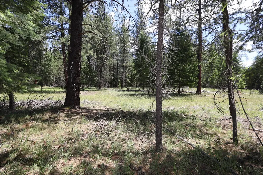 Nhn Lot 6 Graves Creek Road Thompson Falls MT 59873
