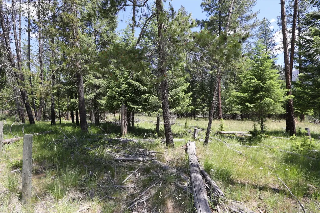 Nhn Lot 6 Graves Creek Road Thompson Falls MT 59873
