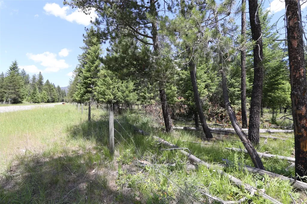 Nhn Lot 6 Graves Creek Road Thompson Falls MT 59873
