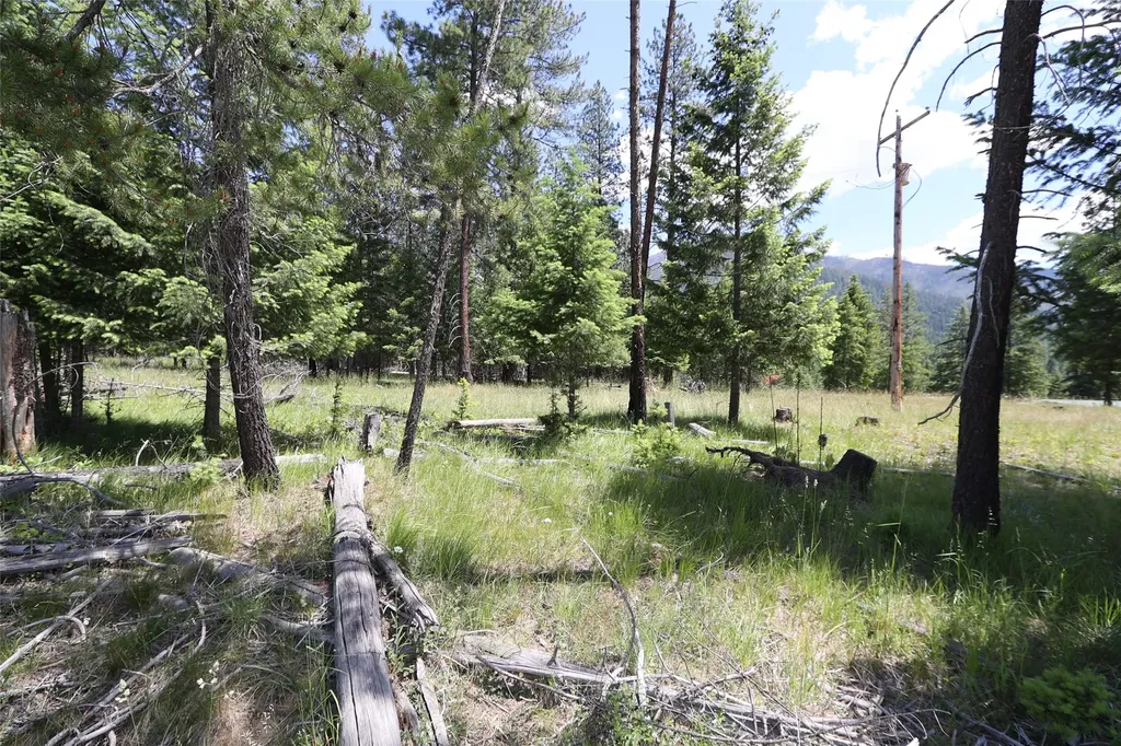 Nhn Lot 6 Graves Creek Road Thompson Falls MT 59873