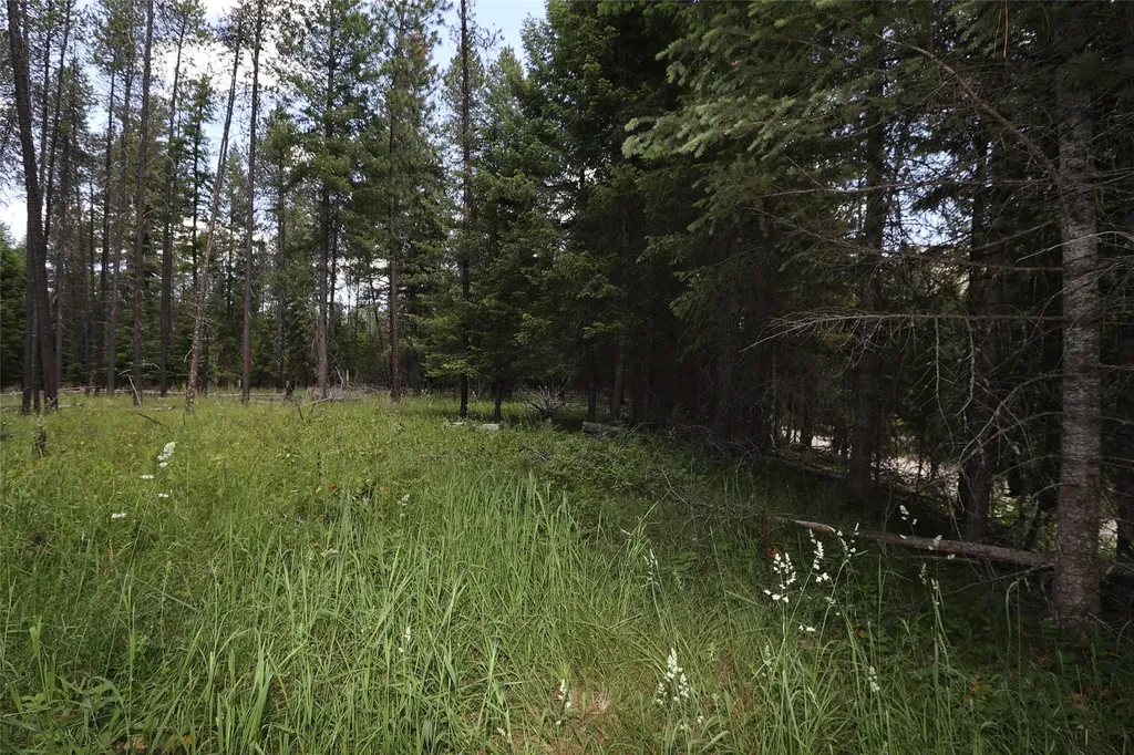 Nhn Lot 6 Graves Creek Road Thompson Falls MT 59873