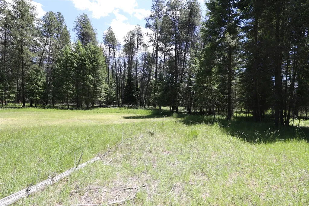 Nhn Lot 6 Graves Creek Road Thompson Falls MT 59873