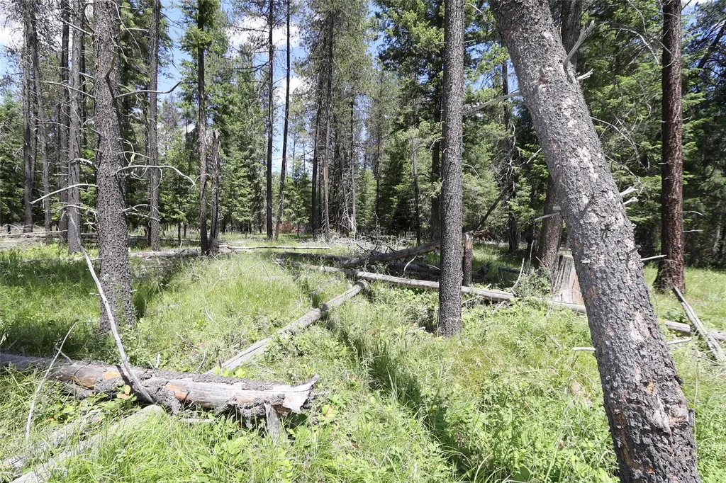 Nhn Lot 6 Graves Creek Road Thompson Falls MT 59873