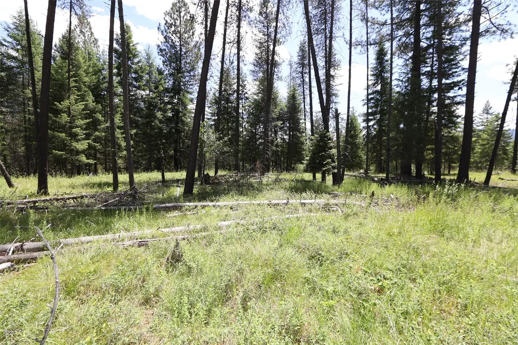 Nhn Lot 6 Graves Creek Road Thompson Falls MT 59873