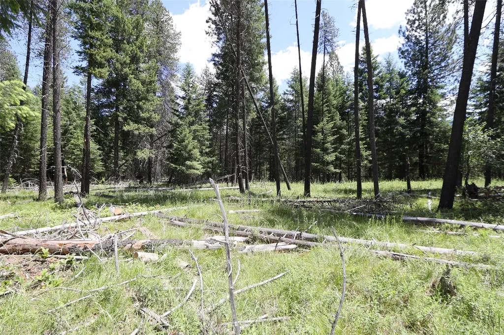 Nhn Lot 6 Graves Creek Road Thompson Falls MT 59873