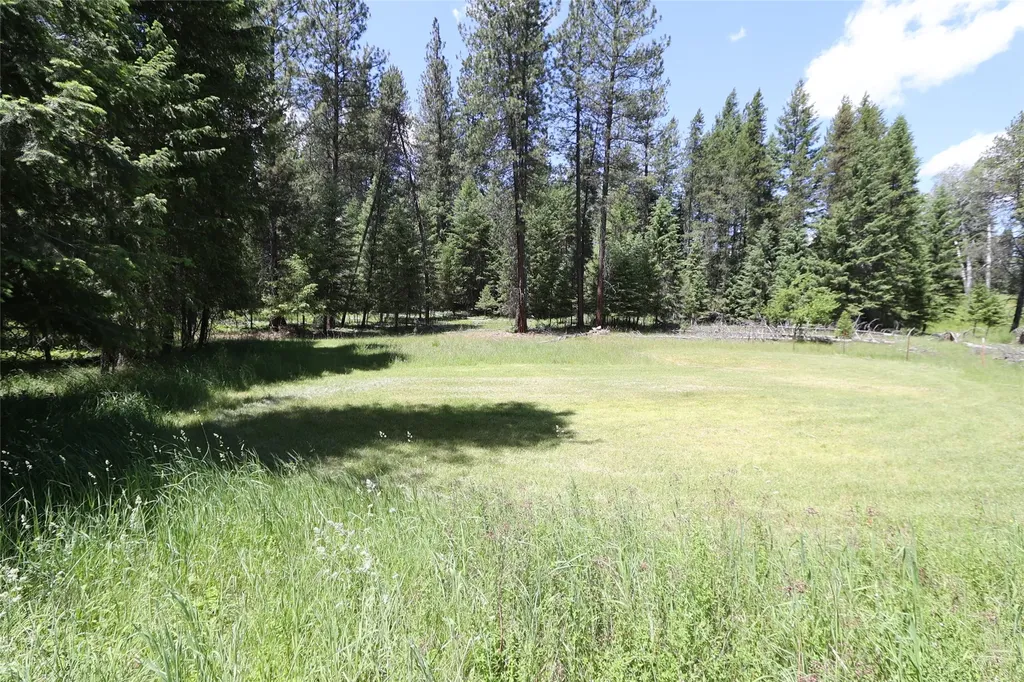 Nhn Lot 6 Graves Creek Road Thompson Falls MT 59873