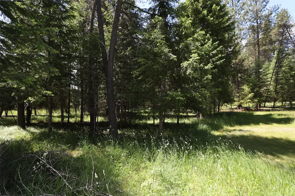 Nhn Lot 6 Graves Creek Road Thompson Falls MT 59873