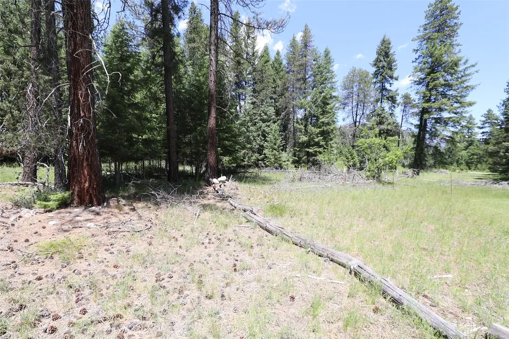 Nhn Lot 6 Graves Creek Road Thompson Falls MT 59873