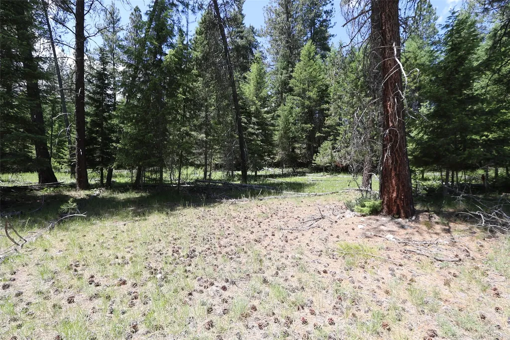 Nhn Lot 6 Graves Creek Road Thompson Falls MT 59873
