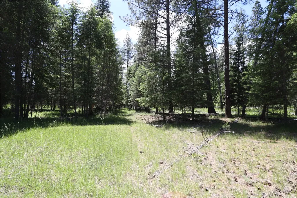 Nhn Lot 6 Graves Creek Road Thompson Falls MT 59873