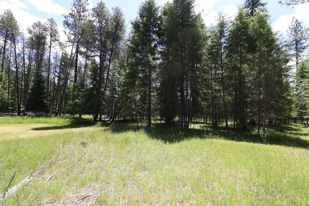 Nhn Lot 6 Graves Creek Road Thompson Falls MT 59873