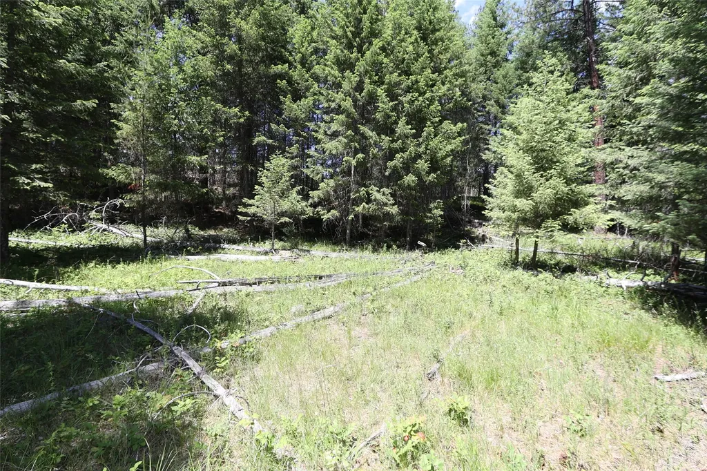 Nhn Lot 6 Graves Creek Road Thompson Falls MT 59873