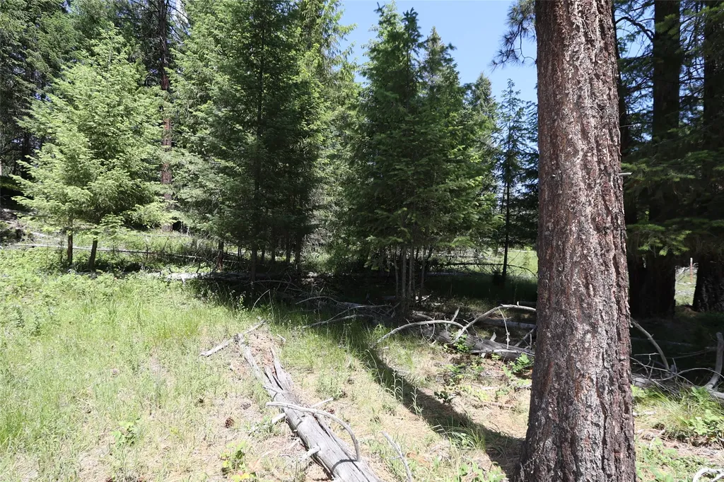 Nhn Lot 6 Graves Creek Road Thompson Falls MT 59873