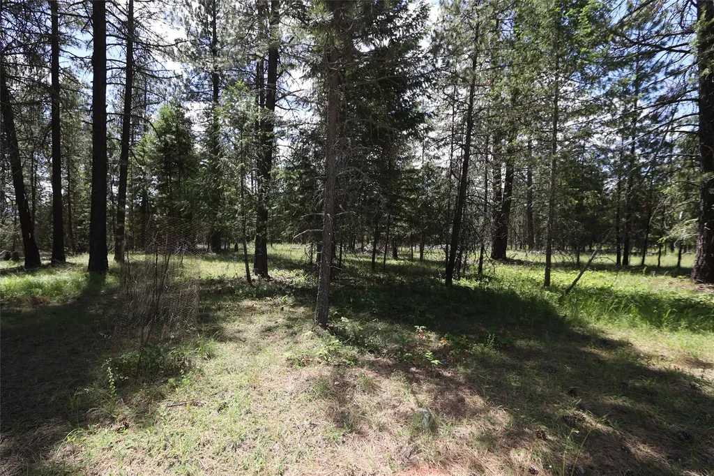 Nhn Lot 6 Graves Creek Road Thompson Falls MT 59873