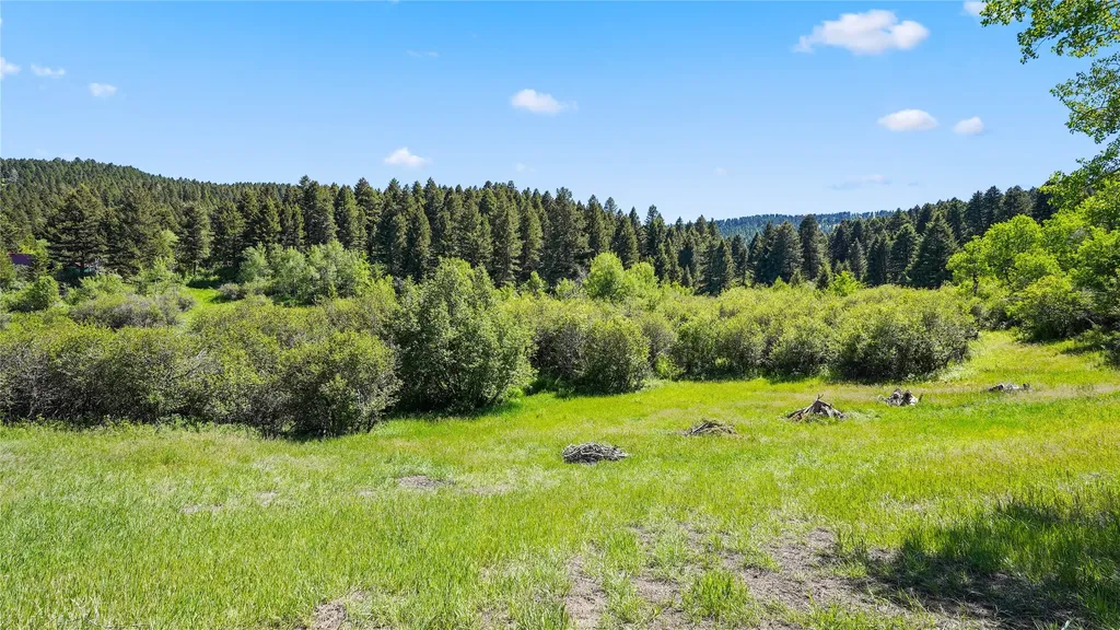 65 Mountain Brook Road Livingston MT 59047