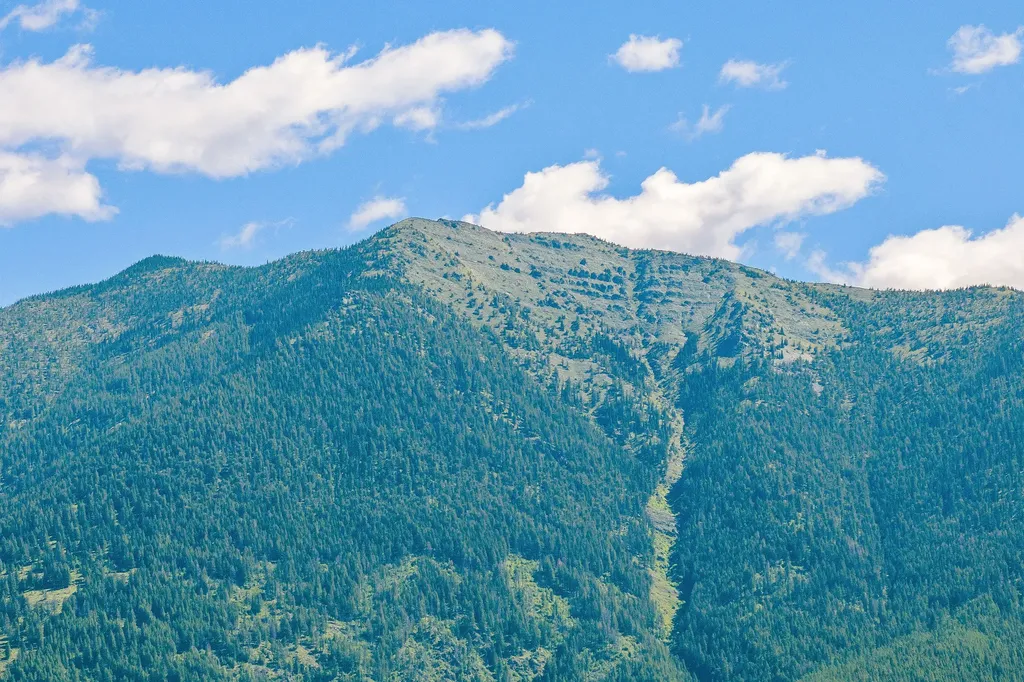 21 Towering Pine Court Kalispell MT 59901