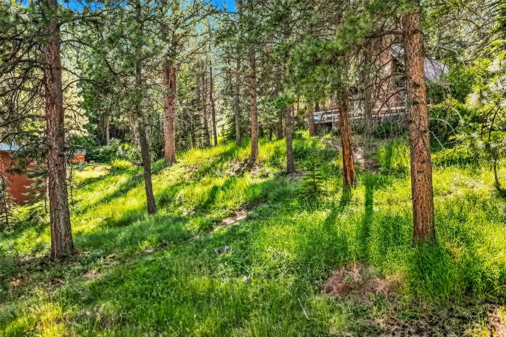 437 Owings Loop Hamilton MT 59840