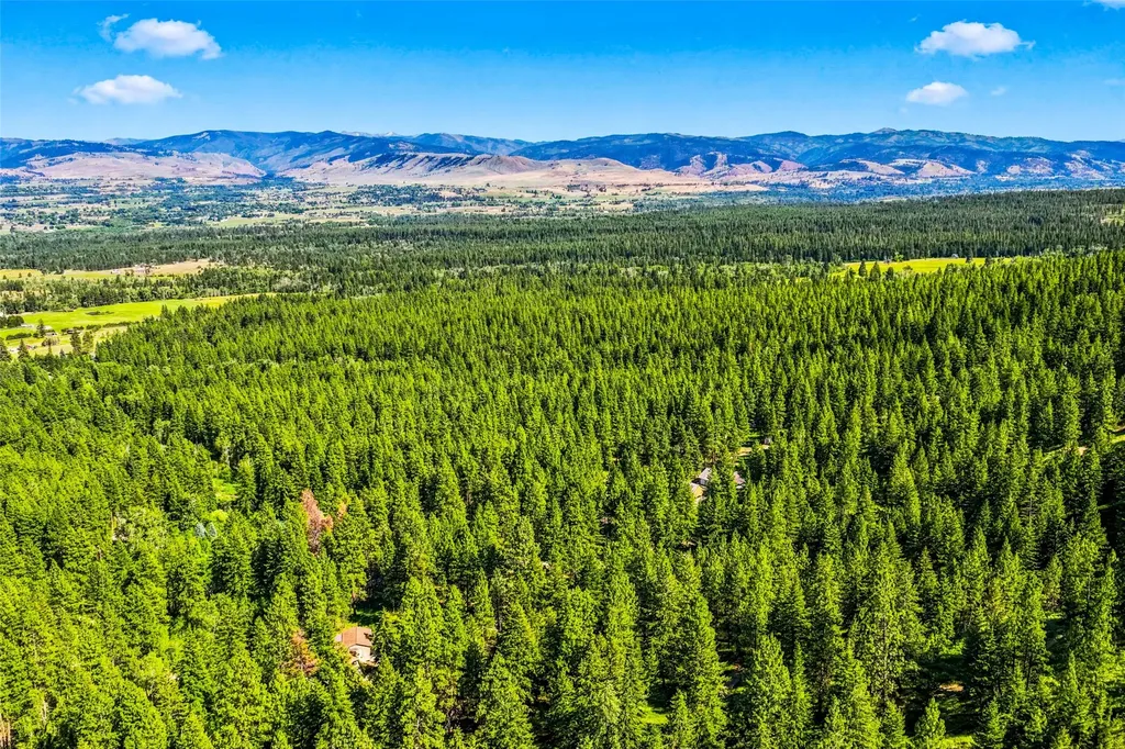 437 Owings Loop Hamilton MT 59840