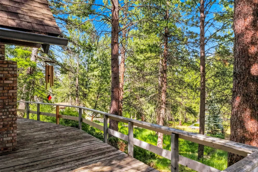 437 Owings Loop Hamilton MT 59840