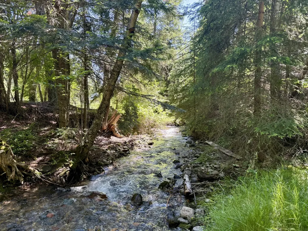 30526 Mission Creek Road St Ignatius MT 59865