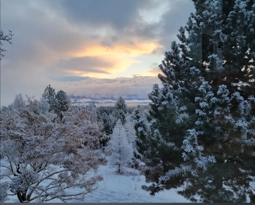 350 Browns Road Kalispell MT 59901