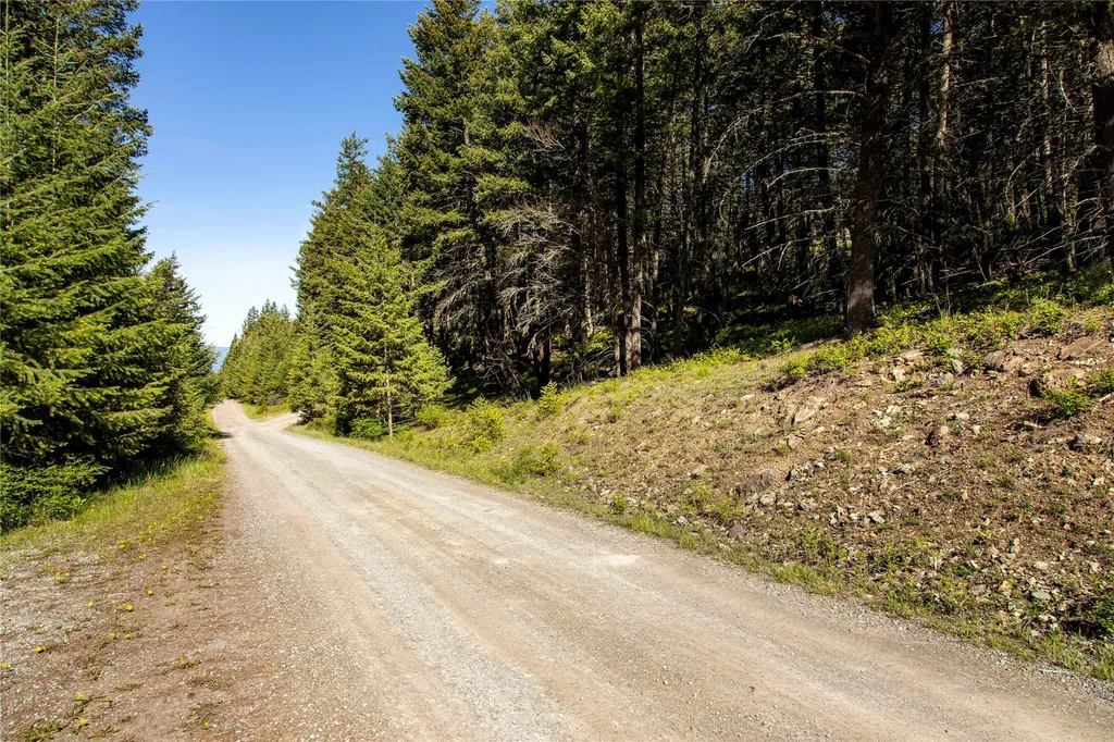 25 Starview Drive Bigfork MT 59911