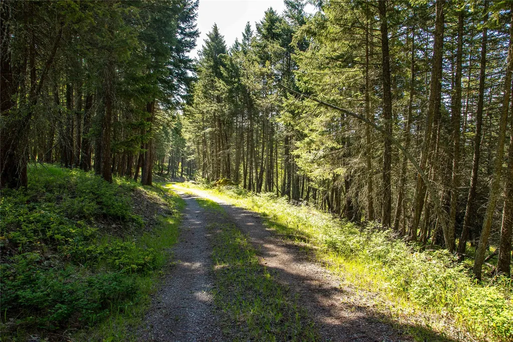 25 Starview Drive Bigfork MT 59911