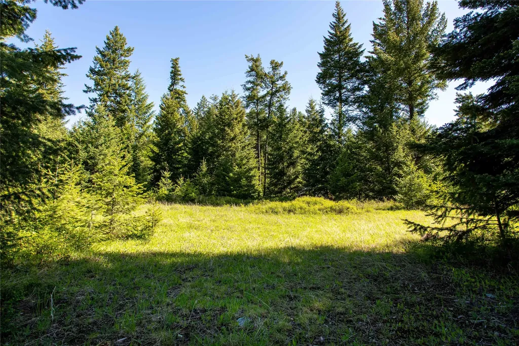 25 Starview Drive Bigfork MT 59911