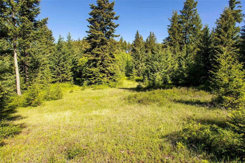 25 Starview Drive Bigfork MT 59911