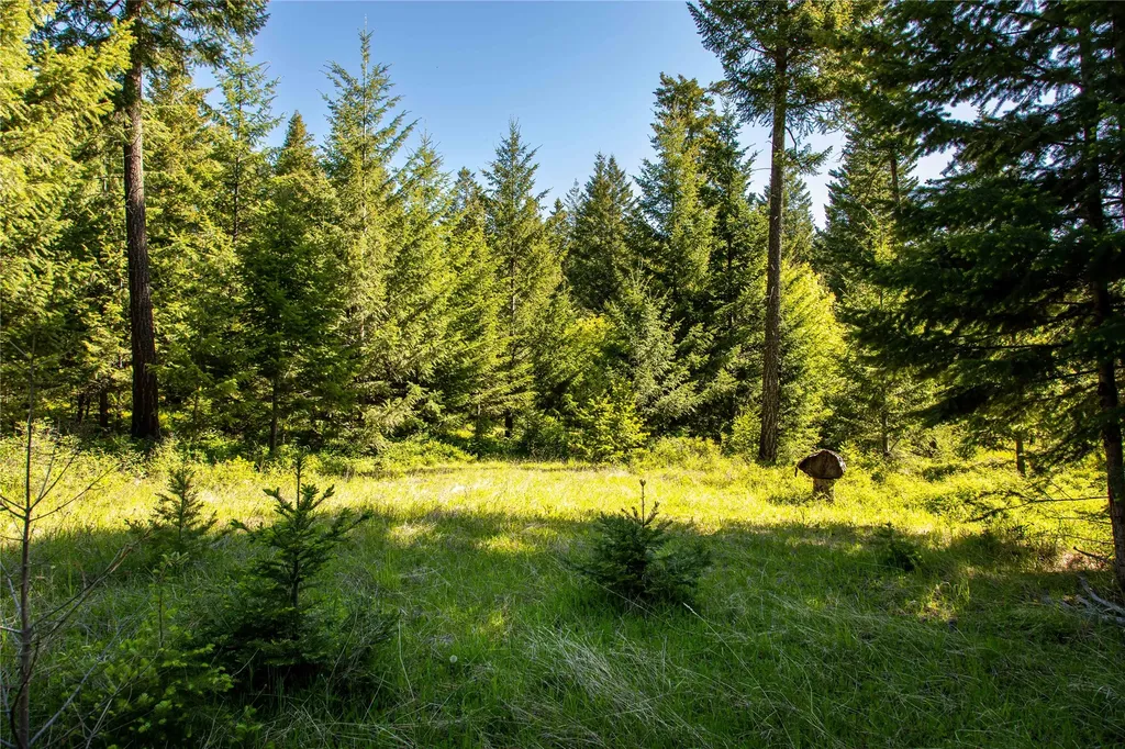 25 Starview Drive Bigfork MT 59911