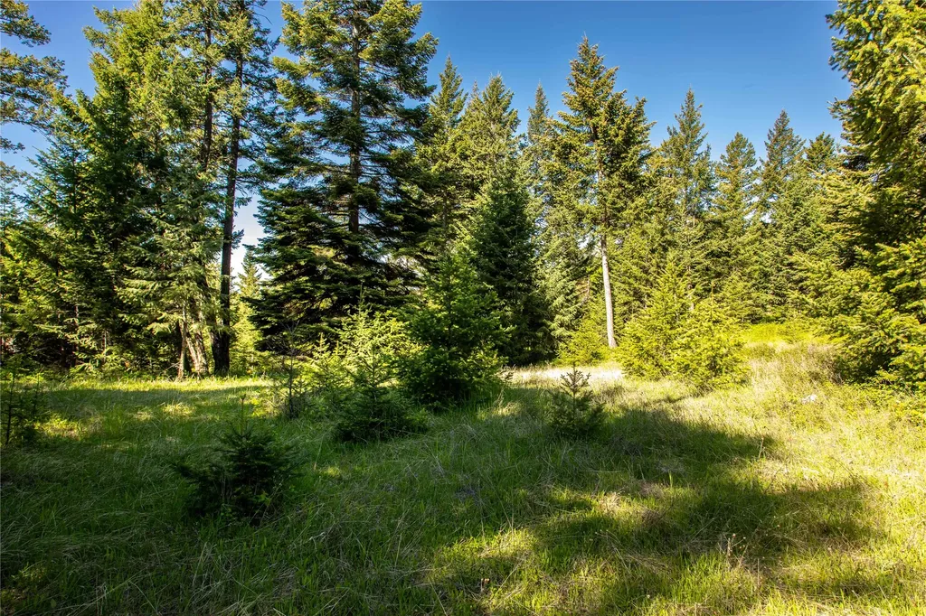 25 Starview Drive Bigfork MT 59911