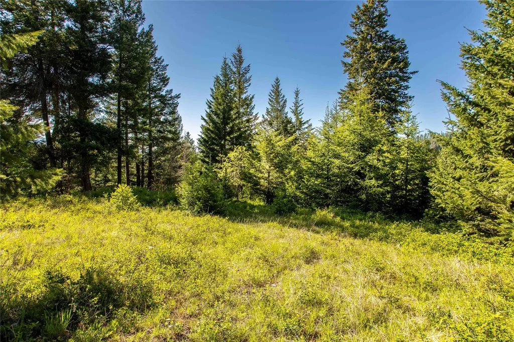 25 Starview Drive Bigfork MT 59911