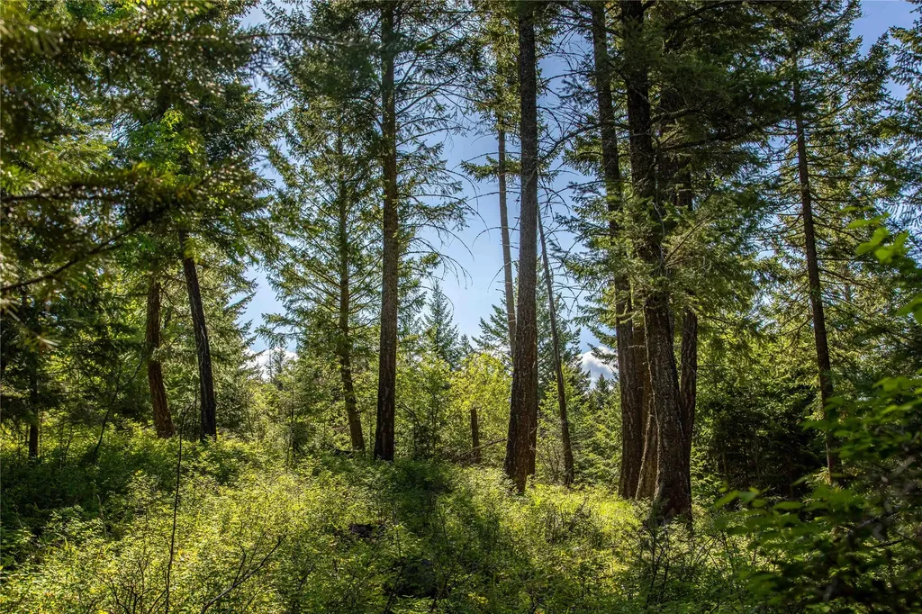 25 Starview Drive Bigfork MT 59911