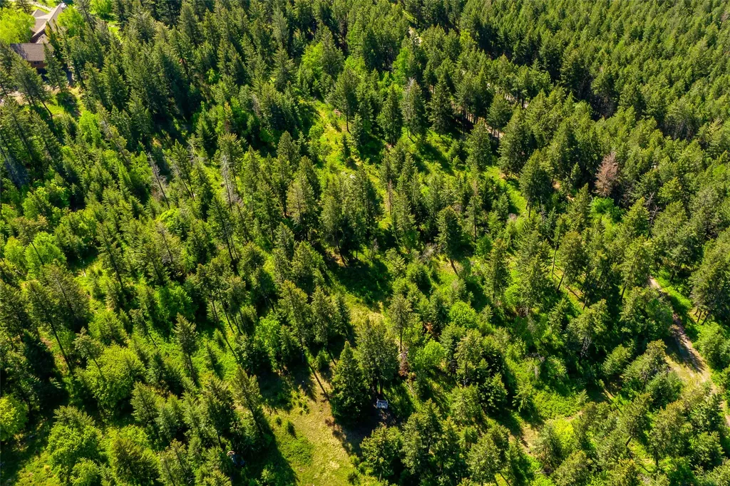 25 Starview Drive Bigfork MT 59911
