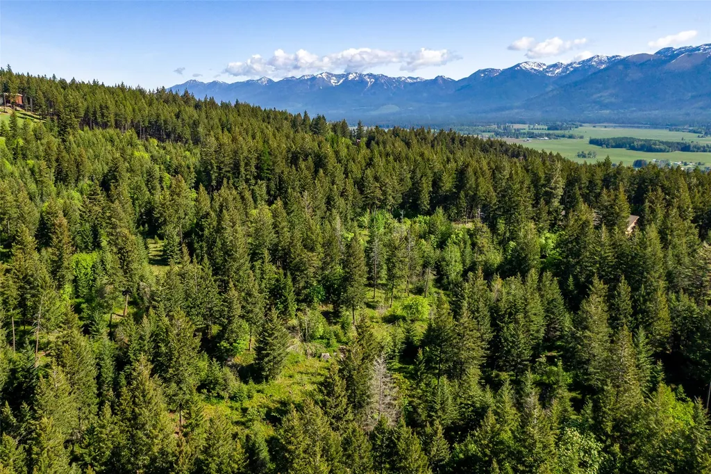 25 Starview Drive Bigfork MT 59911