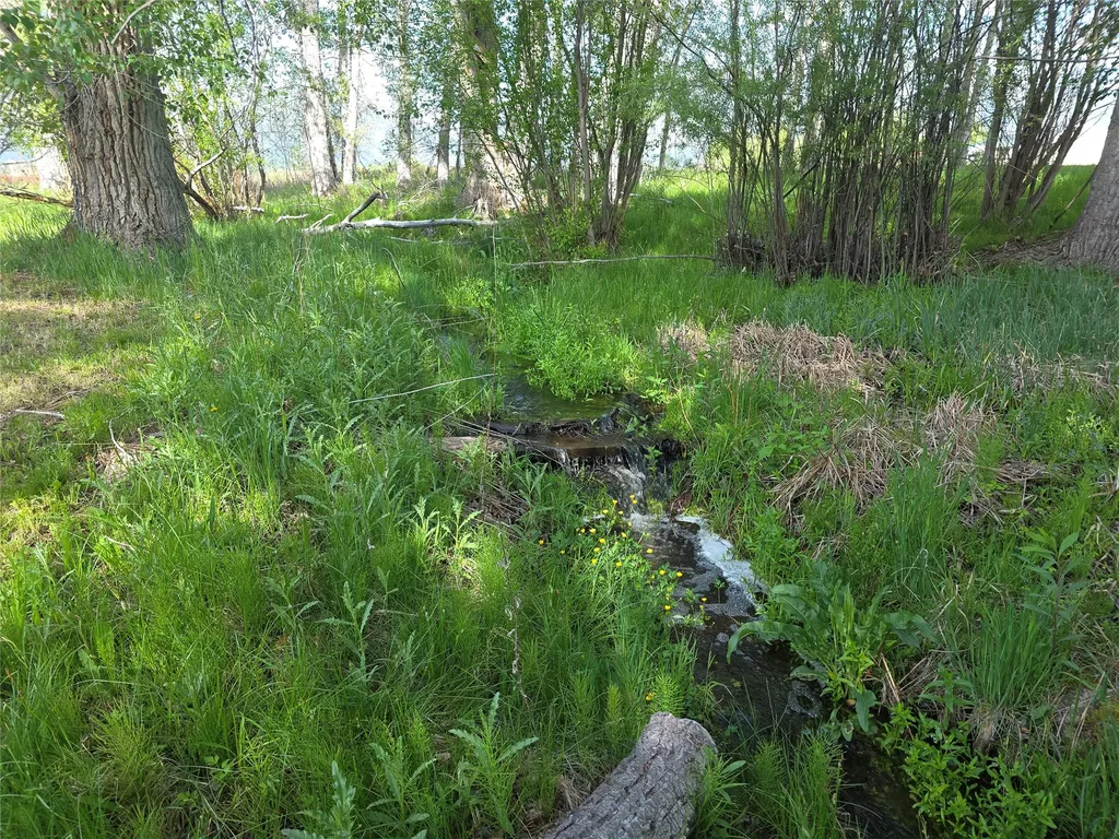 430 W River Road Hamilton MT 59840