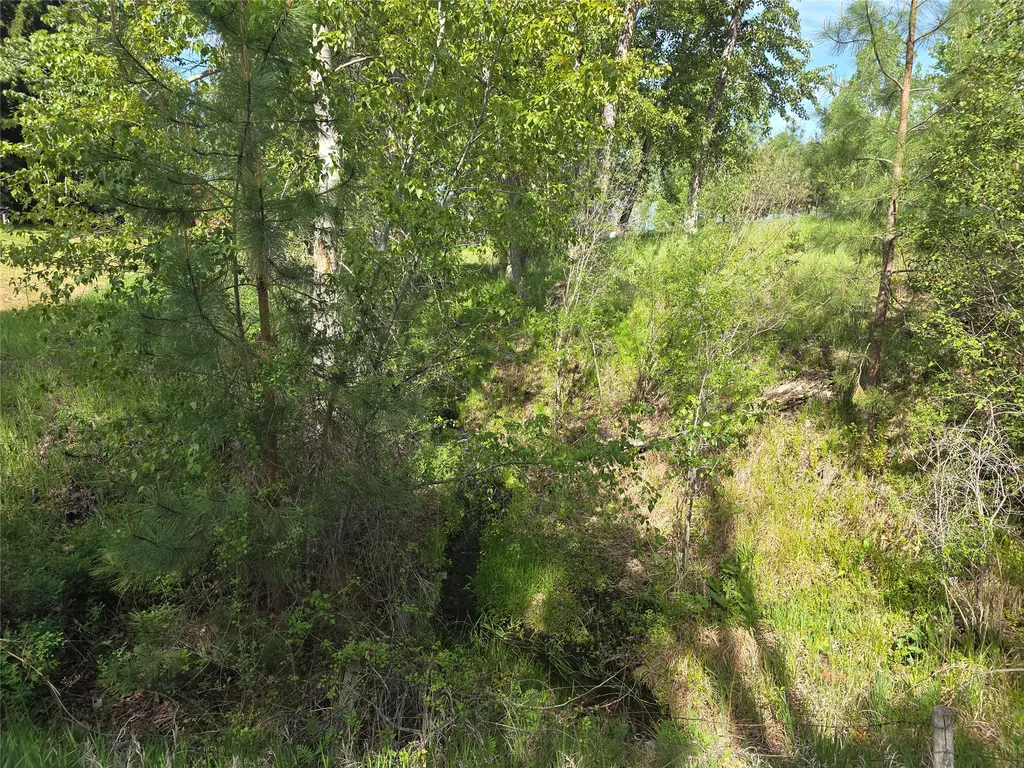 430 W River Road Hamilton MT 59840