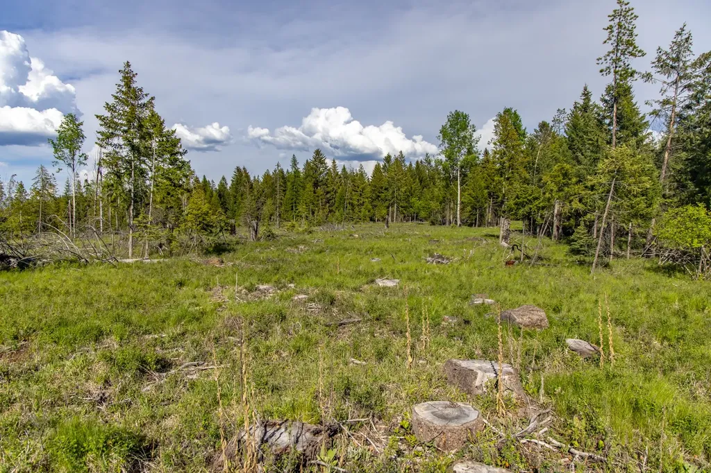 6999 Fortine Creek Road Trego MT 59934