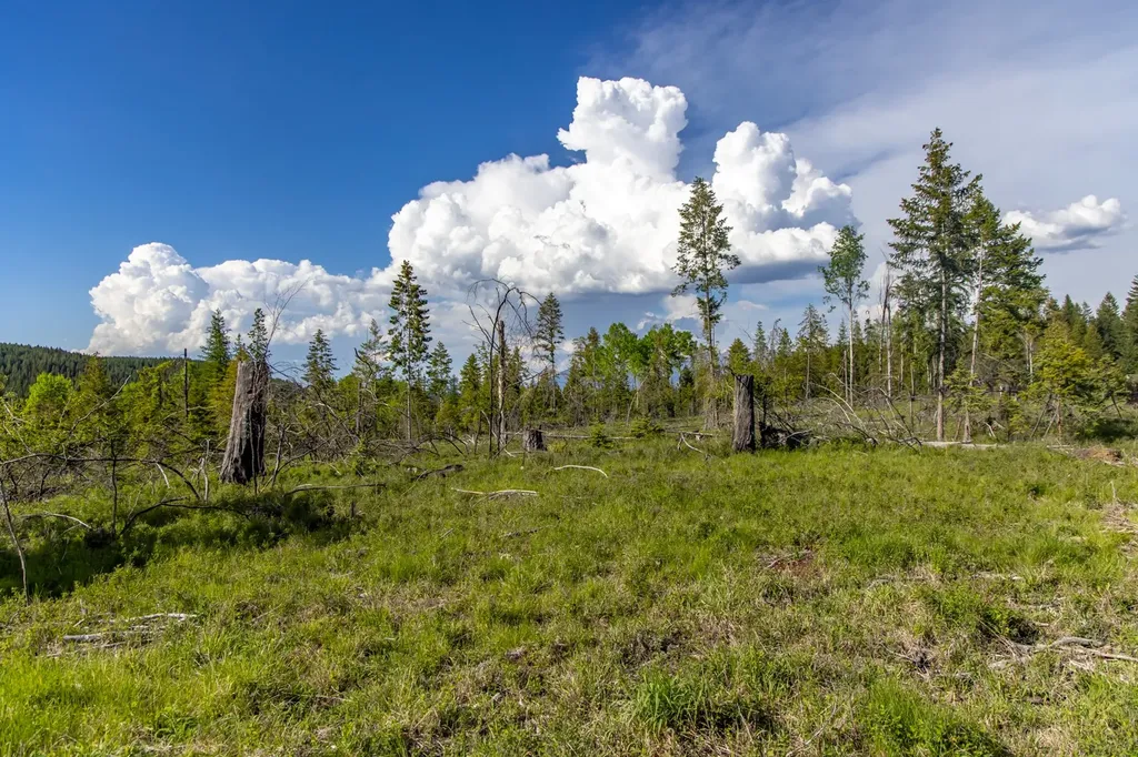 6999 Fortine Creek Road Trego MT 59934