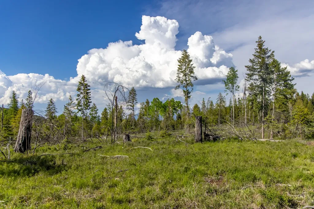 6999 Fortine Creek Road Trego MT 59934
