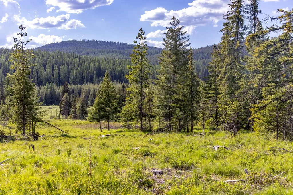 6999 Fortine Creek Road Trego MT 59934