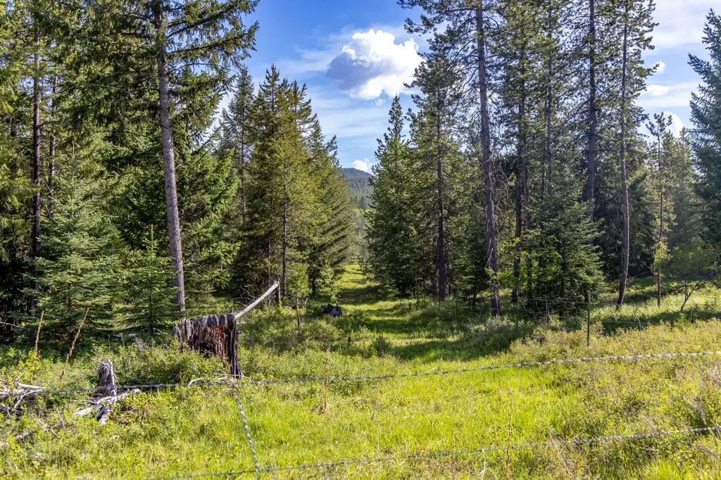 6999 Fortine Creek Road Trego MT 59934