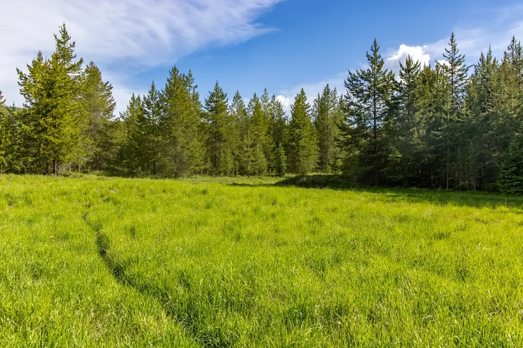 6999 Fortine Creek Road Trego MT 59934