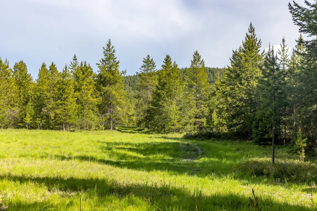 6999 Fortine Creek Road Trego MT 59934