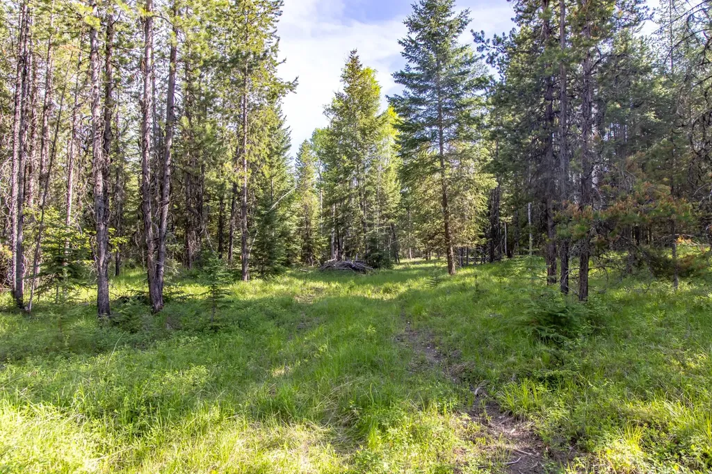 6999 Fortine Creek Road Trego MT 59934
