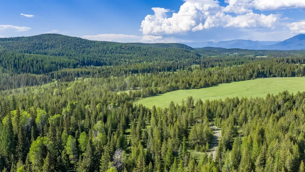 6999 Fortine Creek Road Trego MT 59934
