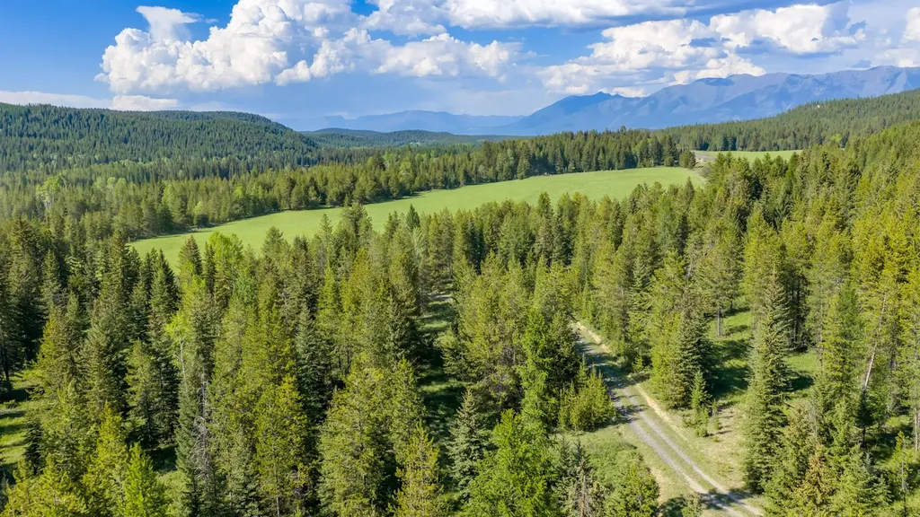6999 Fortine Creek Road Trego MT 59934