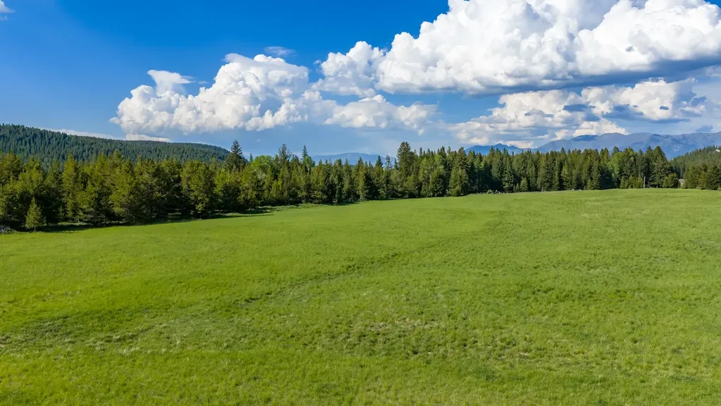 6999 Fortine Creek Road Trego MT 59934