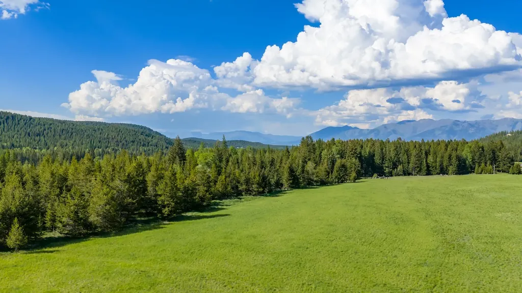 6999 Fortine Creek Road Trego MT 59934